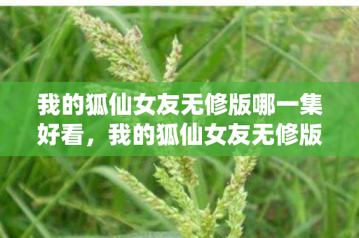 我的狐仙女友无修版哪一集好看，我的狐仙女友无修版，探索奇幻世界的浪漫之旅