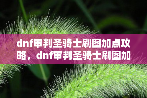 dnf审判圣骑士刷图加点攻略，dnf审判圣骑士刷图加点攻略