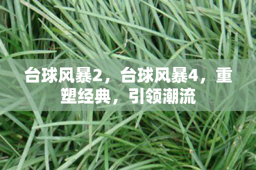 台球风暴2，台球风暴4，重塑经典，引领潮流