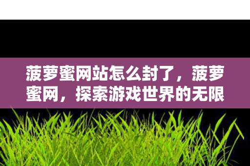 菠萝蜜网站怎么封了，菠萝蜜网，探索游戏世界的无限可能