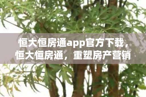 恒大恒房通app官方下载，恒大恒房通，重塑房产营销新生态