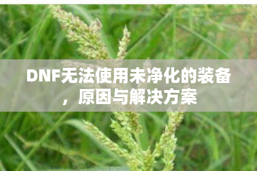 DNF无法使用未净化的装备，原因与解决方案