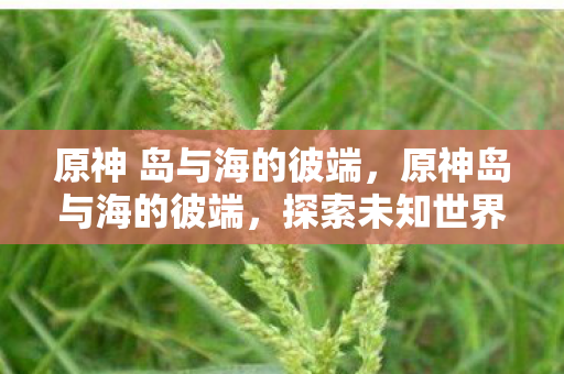 原神 岛与海的彼端，原神岛与海的彼端，探索未知世界的奇妙之旅