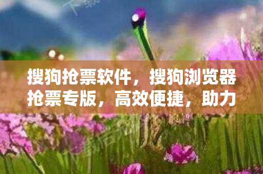 搜狗抢票软件，搜狗浏览器抢票专版，高效便捷，助力春运抢票