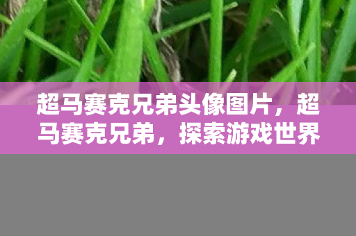 超马赛克兄弟头像图片，超马赛克兄弟，探索游戏世界的奇妙之旅