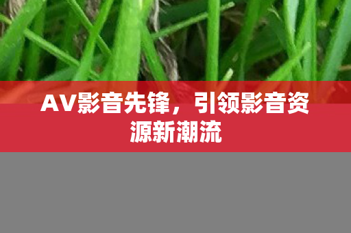 AV影音先锋，引领影音资源新潮流
