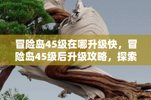 冒险岛45级在哪升级快，冒险岛45级后升级攻略，探索未知，挑战更高境界
