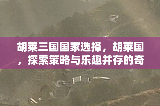 胡莱三国国家选择，胡莱国，探索策略与乐趣并存的奇幻世界