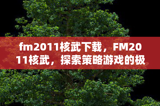 fm2011核武下载，FM2011核武，探索策略游戏的极致体验