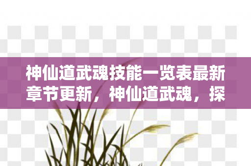 神仙道武魂技能一览表最新章节更新，神仙道武魂，探寻古老传说中的神秘力量