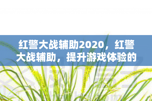 红警大战辅助2020，红警大战辅助，提升游戏体验的利器