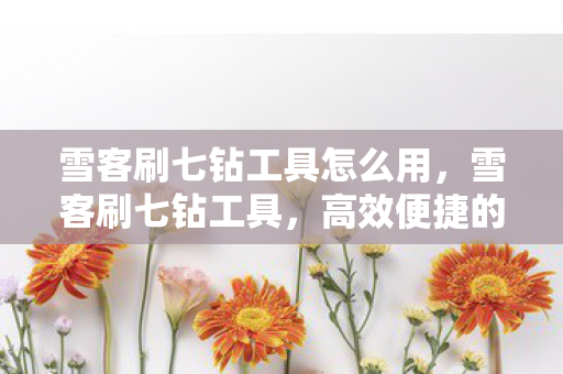 雪客刷七钻工具怎么用，雪客刷七钻工具，高效便捷的游戏辅助工具
