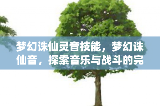 梦幻诛仙灵音技能，梦幻诛仙音，探索音乐与战斗的完美融合