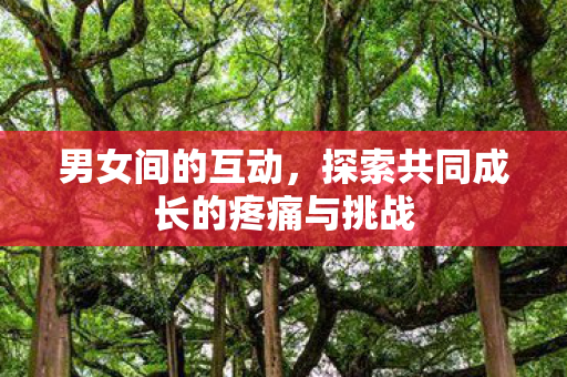 男女间的互动，探索共同成长的疼痛与挑战
