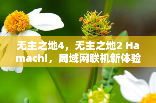 无主之地4，无主之地2 Hamachi，局域网联机新体验