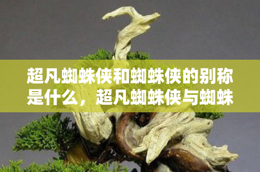 超凡蜘蛛侠和蜘蛛侠的别称是什么，超凡蜘蛛侠与蜘蛛侠，英雄背后的不同与传承