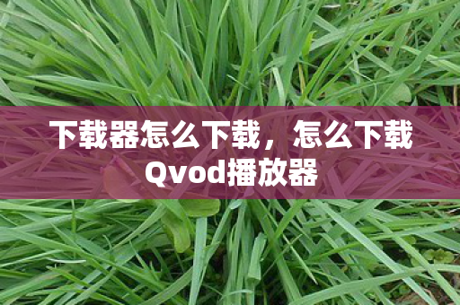 下载器怎么下载，怎么下载Qvod播放器