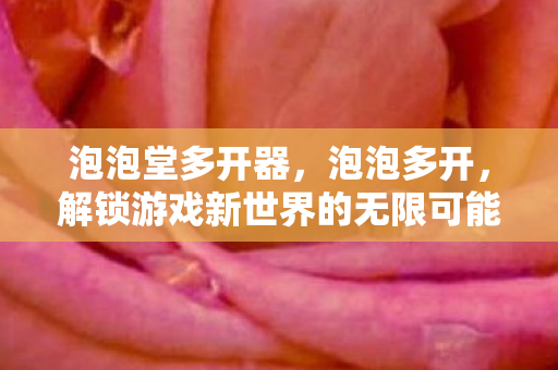 泡泡堂多开器，泡泡多开，解锁游戏新世界的无限可能