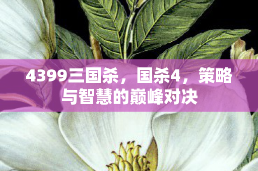 4399三国杀，国杀4，策略与智慧的巅峰对决