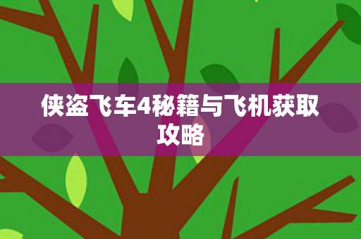 侠盗飞车4秘籍与飞机获取攻略