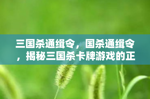 三国杀通缉令，国杀通缉令，揭秘三国杀卡牌游戏的正版之路