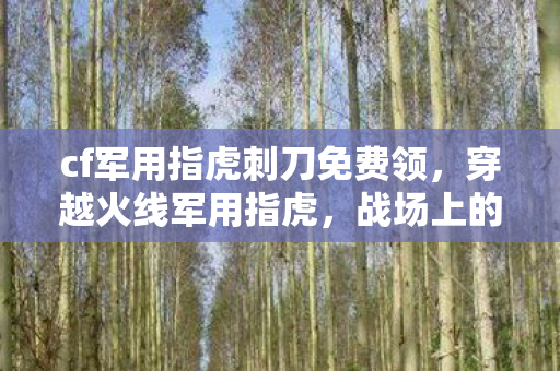 cf军用指虎刺刀免费领，穿越火线军用指虎，战场上的致命利器