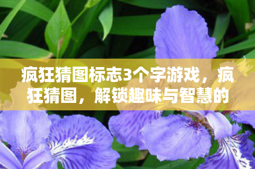 疯狂猜图标志3个字游戏，疯狂猜图，解锁趣味与智慧的奇妙之旅
