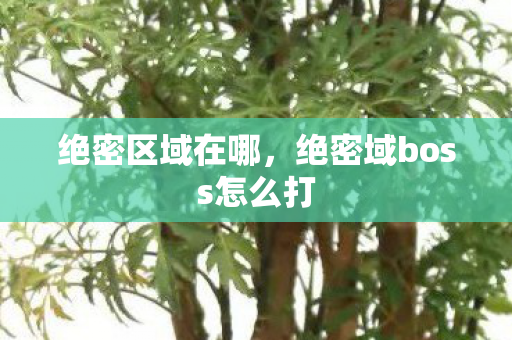 绝密区域在哪，绝密域boss怎么打