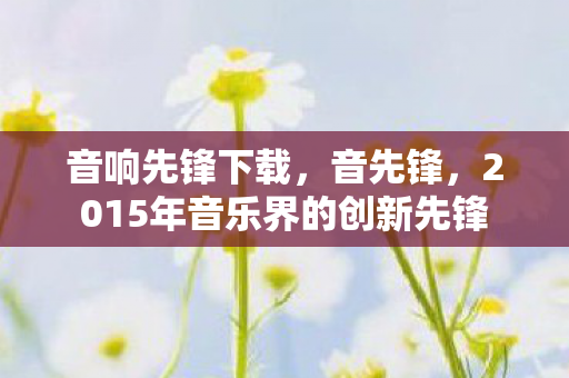 音响先锋下载，音先锋，2015年音乐界的创新先锋