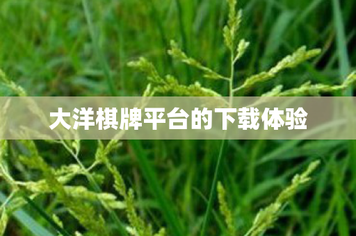 大洋棋牌平台的下载体验 大洋棋牌平台的下载体验
