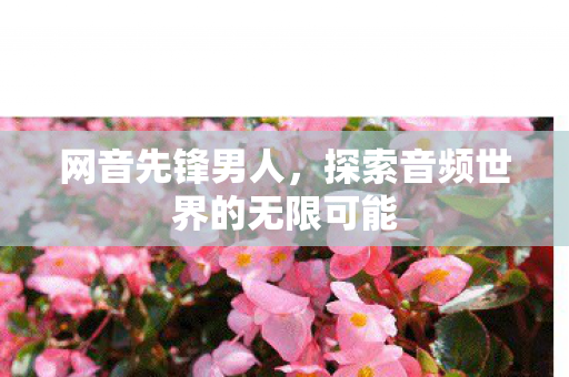 网音先锋男人，探索音频世界的无限可能