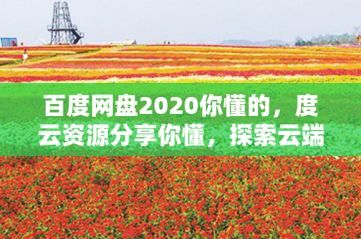 百度网盘2020你懂的，度云资源分享你懂，探索云端存储的无限可能