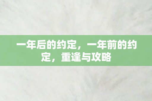 一年后的约定，一年前的约定，重逢与攻略