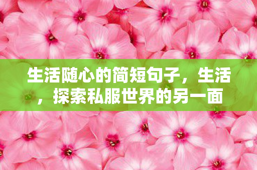 生活随心的简短句子，生活，探索私服世界的另一面