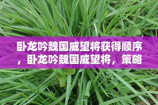 卧龙吟魏国威望将获得顺序，卧龙吟魏国威望将，策略与智慧的碰撞