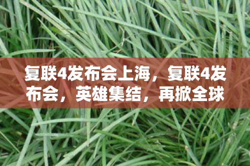 复联4发布会上海，复联4发布会，英雄集结，再掀全球热潮