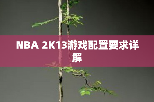 NBA 2K13游戏配置要求详解 NBA 2K13游戏配置要求详解