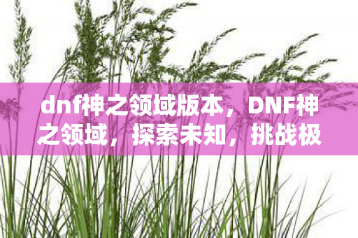 dnf神之领域版本，DNF神之领域，探索未知，挑战极限