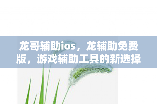 龙哥辅助ios，龙辅助免费版，游戏辅助工具的新选择