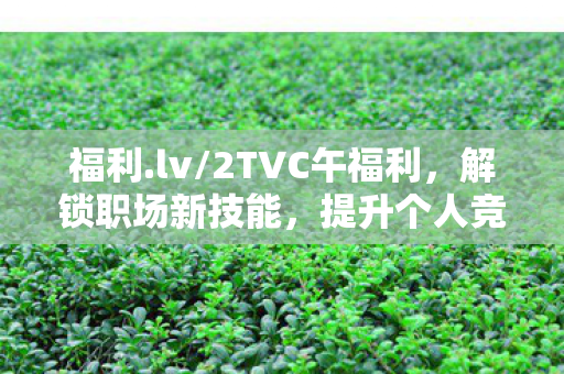 福利.lv/2TVC午福利，解锁职场新技能，提升个人竞争力