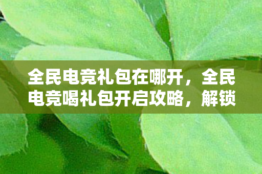 全民电竞礼包在哪开，全民电竞喝礼包开启攻略，解锁你的电竞福利！