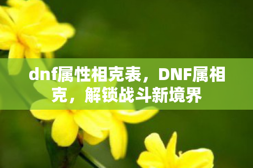 dnf属性相克表，DNF属相克，解锁战斗新境界