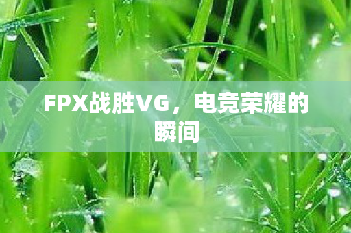 FPX战胜VG,电竞荣耀的瞬间 FPX战胜VG,电竞荣耀的瞬间