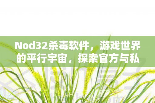 Nod32杀毒软件，游戏世界的平行宇宙，探索官方与私服的独特魅力
