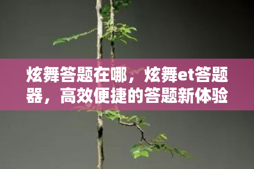 炫舞答题在哪，炫舞et答题器，高效便捷的答题新体验
