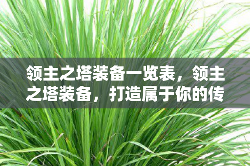 领主之塔装备一览表，领主之塔装备，打造属于你的传奇之路