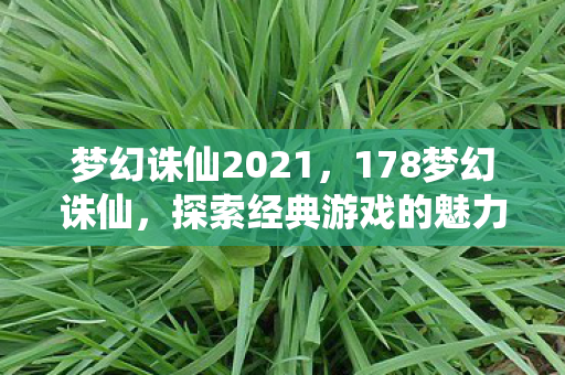 梦幻诛仙2021，178梦幻诛仙，探索经典游戏的魅力与未来