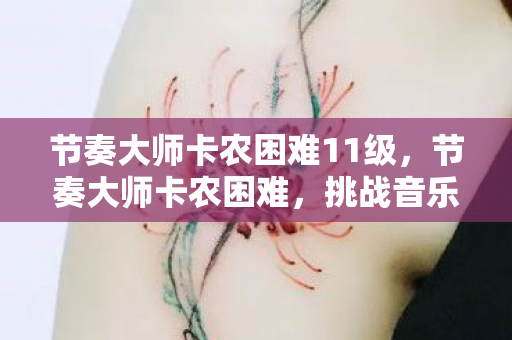 节奏大师卡农困难11级，节奏大师卡农困难，挑战音乐节奏巅峰的极致体验