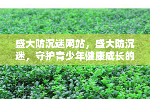 盛大防沉迷网站，盛大防沉迷，守护青少年健康成长的防线