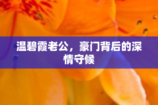 温碧霞老公，豪门背后的深情守候